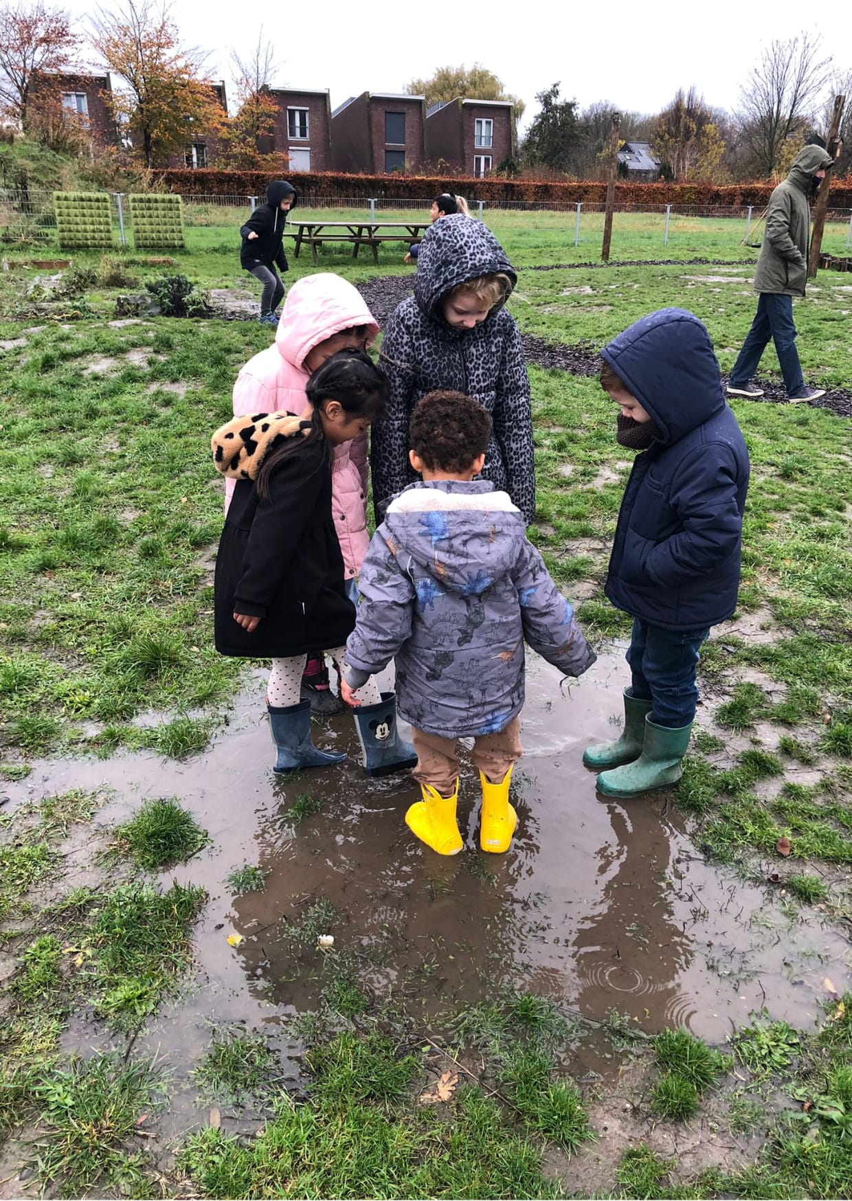 Nieuwsbrief november 2025